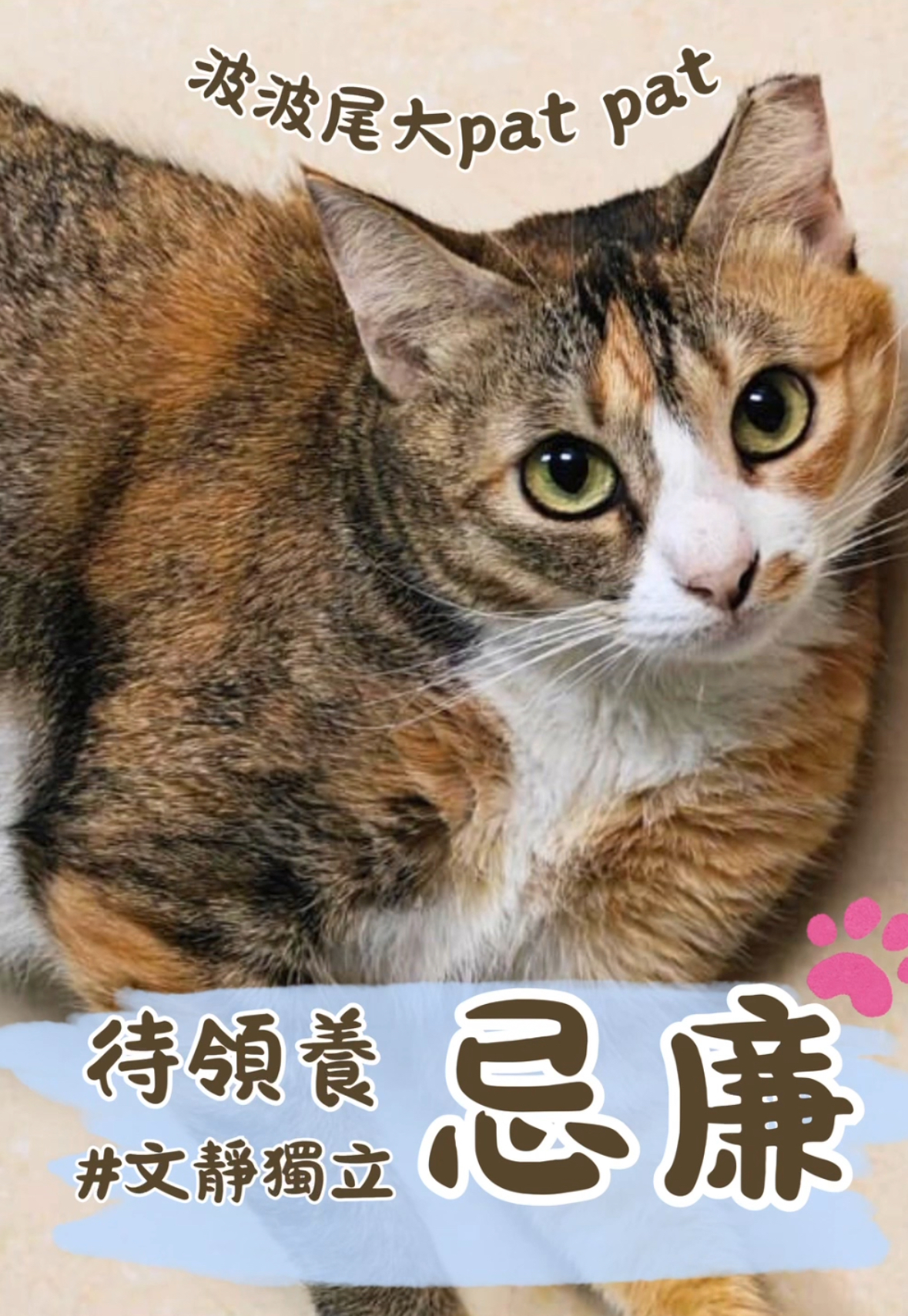 忌廉